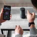 Growth of Voice Commerce The Future of Shopping Through Voice Assistants